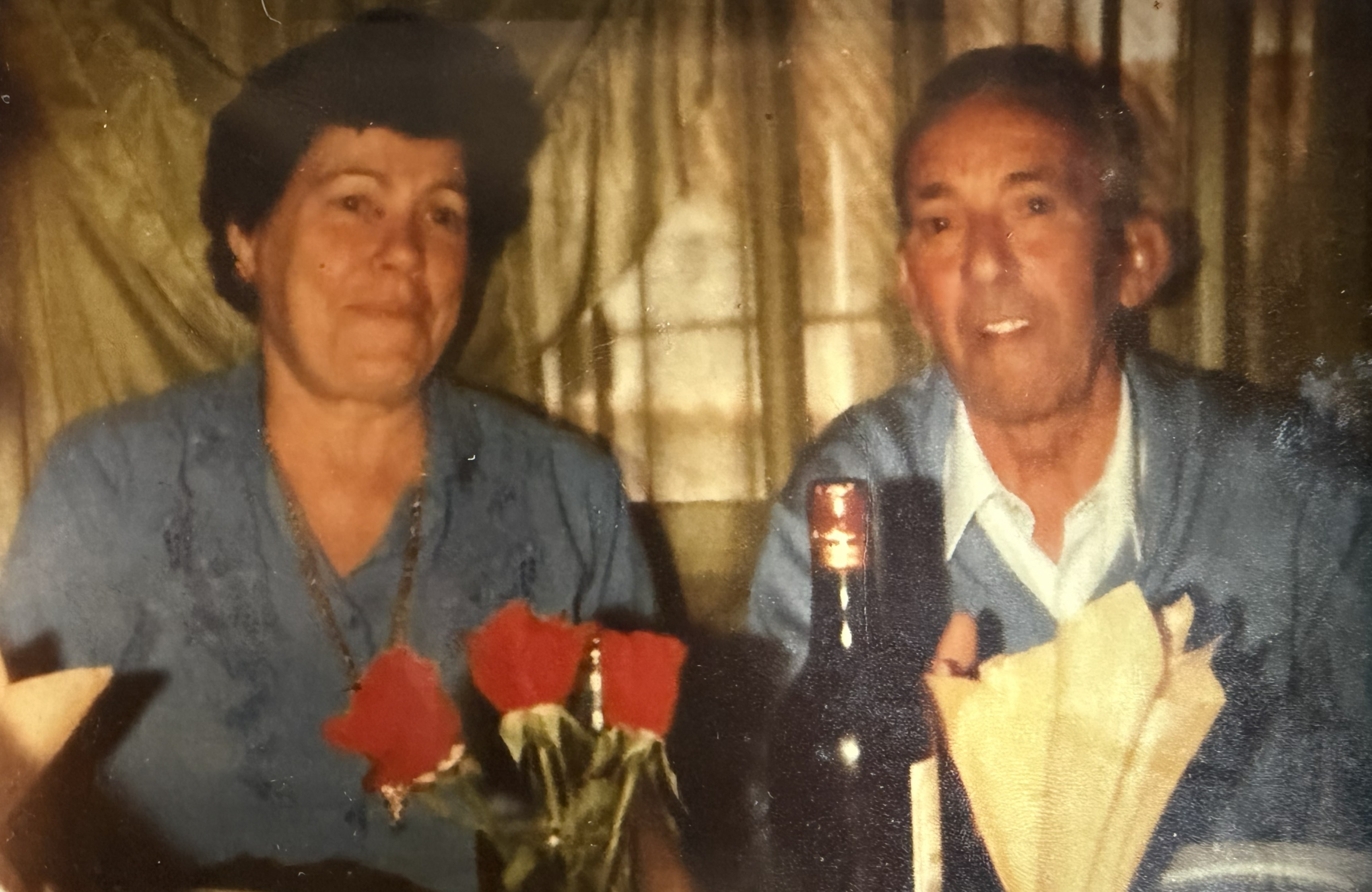 Francisco Castellanos Madrid y Consuelo López Segura